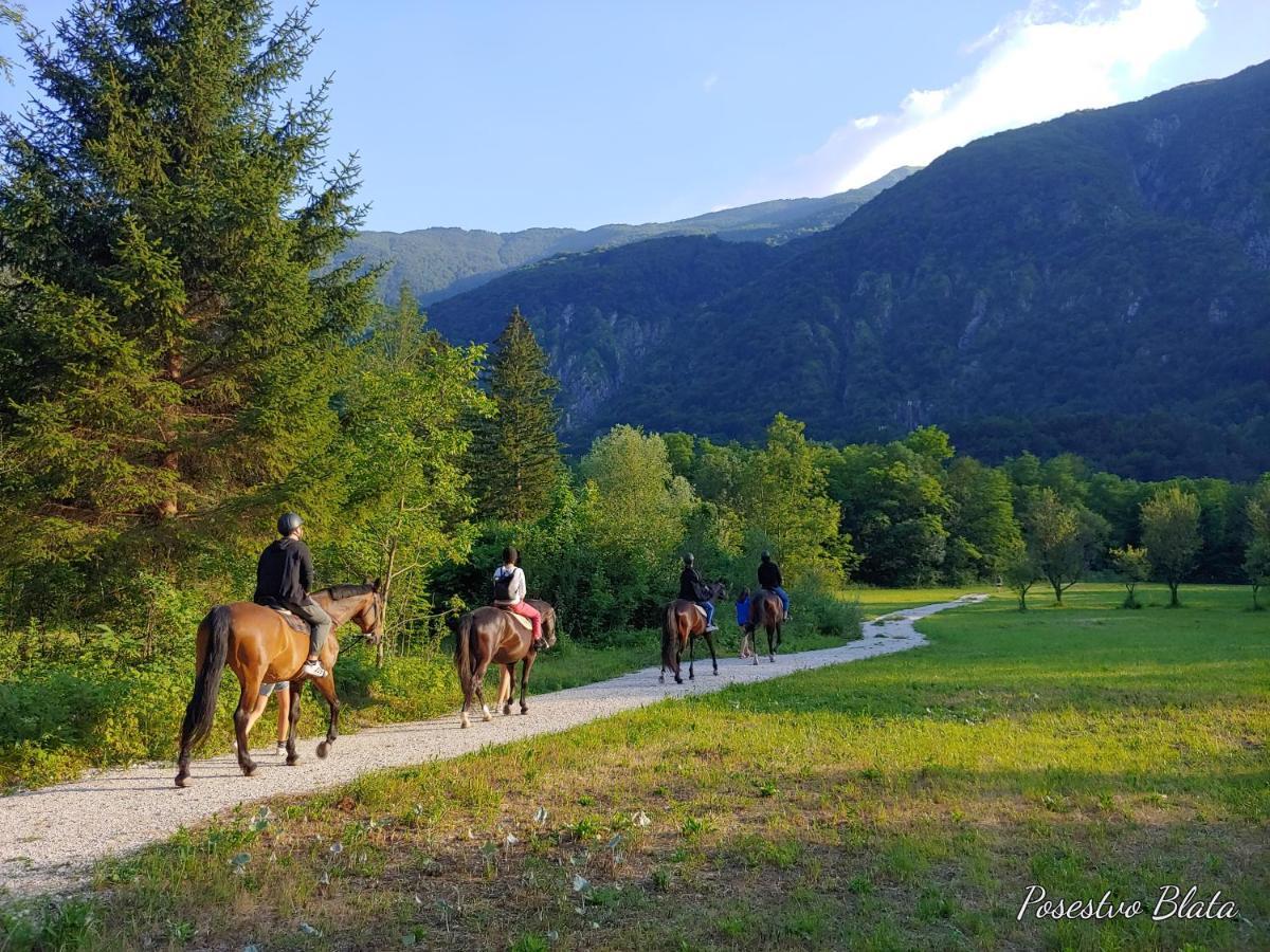 Apartma Kaan Zaga Bagian luar foto