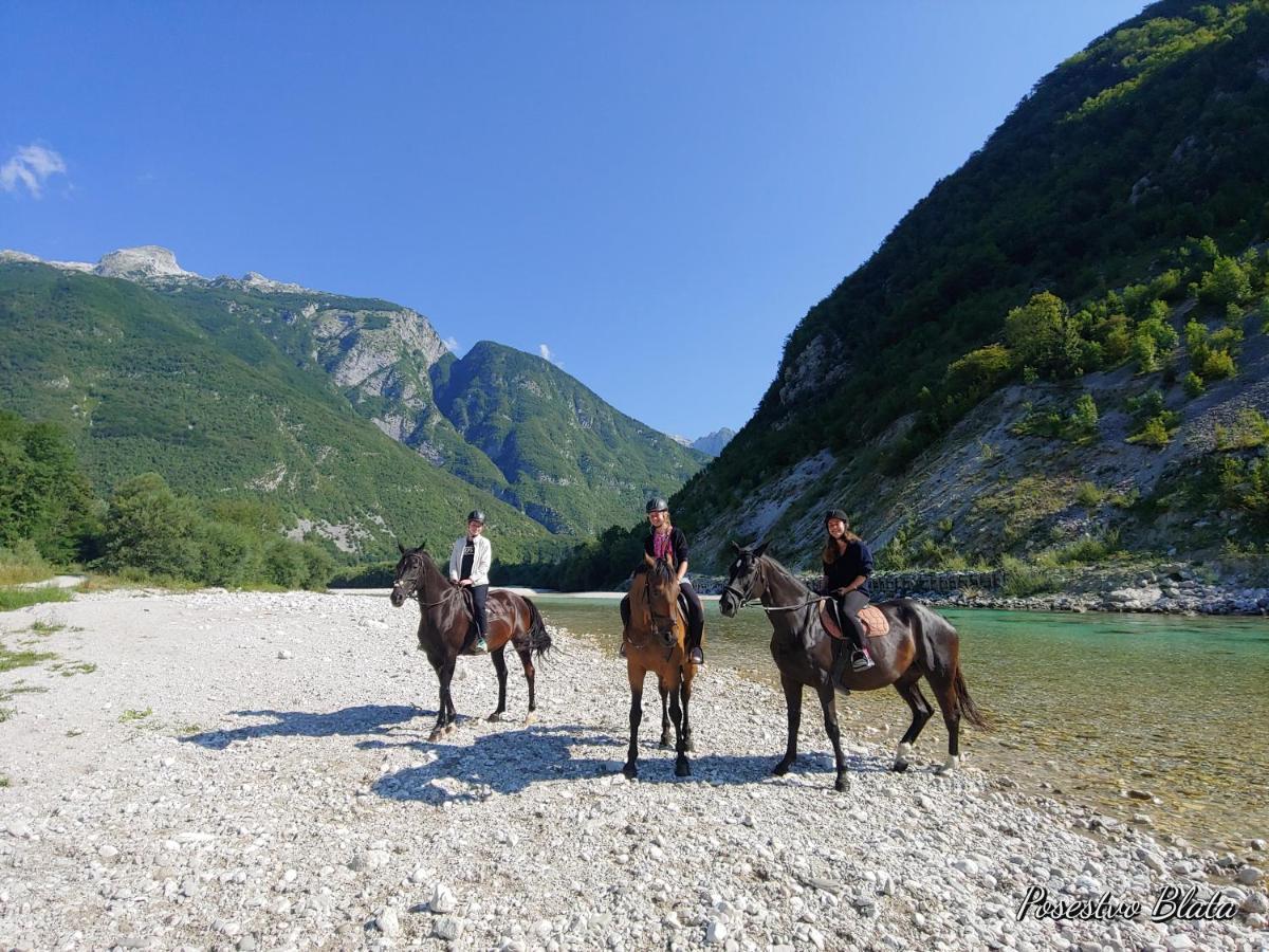 Apartma Kaan Zaga Bagian luar foto
